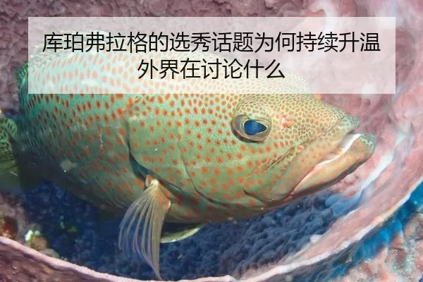 库珀弗拉格的选秀话题为何持续升温 外界在讨论什么（xingkong）